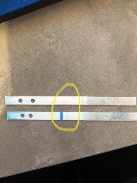 Bild zu NMT +1 Clearblue Digi „nicht schwanger“ - Kinderwunsch - was tun, um schwanger zu werden?
