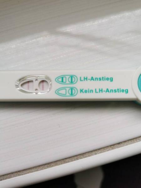 Bild zu Ovu Test - Kinderwunsch - was tun, um schwanger zu werden?