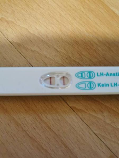 Bild zu Ovu Test - Kinderwunsch - was tun, um schwanger zu werden?