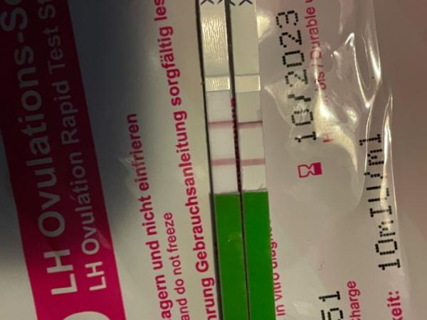Bild zu Positiver Ovu? - Kinderwunsch - was tun, um schwanger zu werden?
