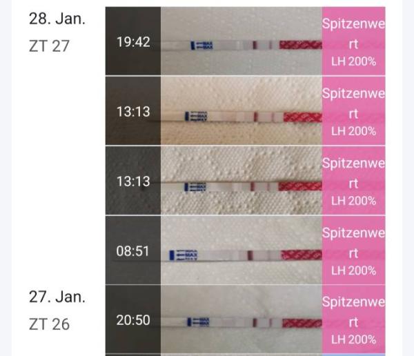 Bild zu Ovus zeigen Spitzenwerte vor der Periode? - Kinderwunsch - was tun, um schwanger zu werden?