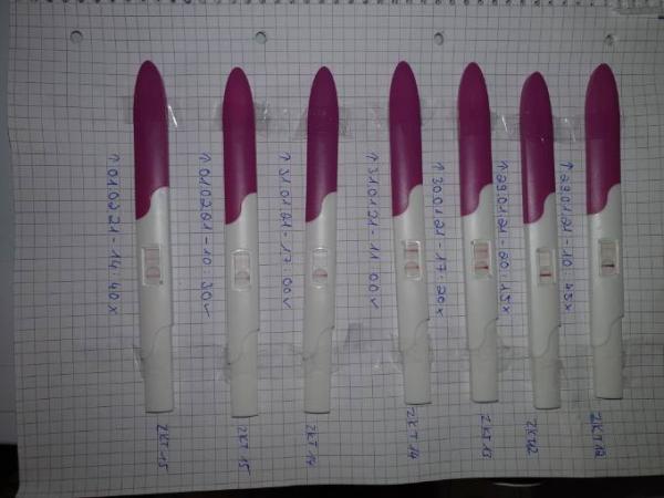 Bild zu 