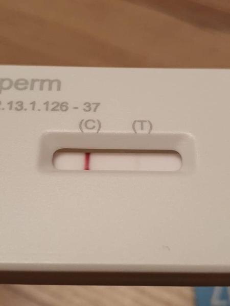 Bild zu Was meint ihr zu diesem Spermiogramm Ergebnis? - Kinderwunsch - was tun, um schwanger zu werden?