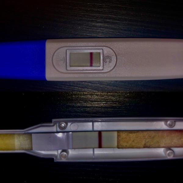 Bild zu Babycolor One Step - Kinderwunsch - was tun, um schwanger zu werden?