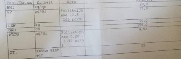 Bild zu Laborblatt, bitte um Erklärung:( FA nimmt mich nicht ernst - Kinderwunsch - was tun, um schwanger zu werden?