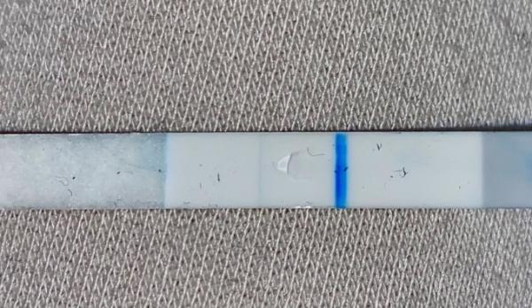 Bild zu Verdunstungslinie Clearblue oder Schwanger? - Kinderwunsch - was tun, um schwanger zu werden?