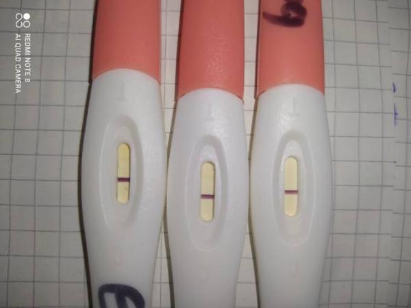 Bild zu Sieht ihr da was oder bilde ich mir das nur ein??? - Kinderwunsch - was tun, um schwanger zu werden?