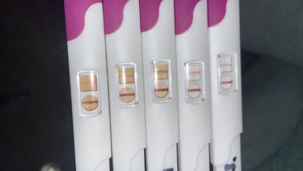 Bild zu Ovulationstests positiv - Kinderwunsch - was tun, um schwanger zu werden?