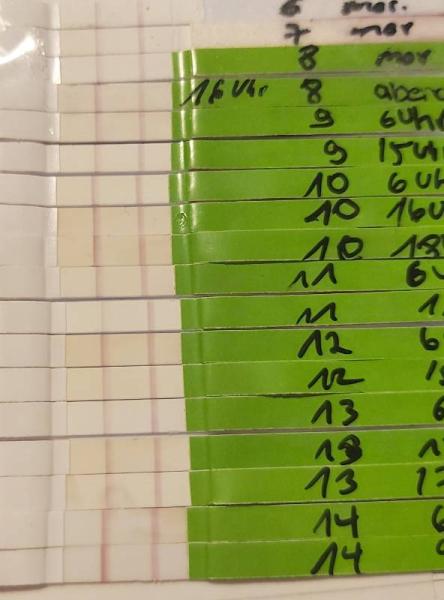Bild zu Ovulationstest - Kinderwunsch - was tun, um schwanger zu werden?