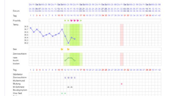 Bild zu Nach FG, Schwanger werden - Kinderwunsch - was tun, um schwanger zu werden?