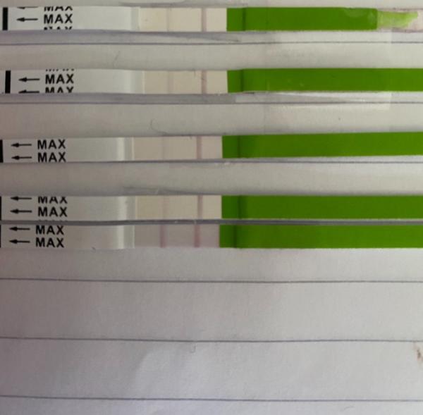 Bild zu Ovolationstest trotz Blutung positiv - Kinderwunsch - was tun, um schwanger zu werden?