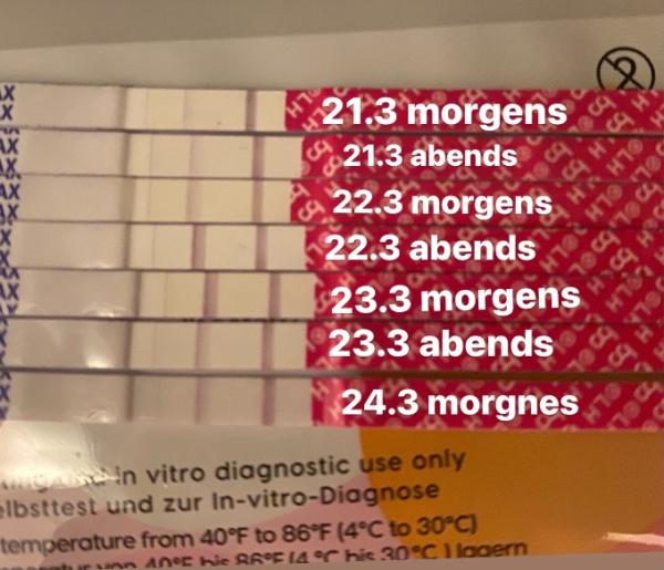 Bild zu Ovu tests, bitte um eure meinung - Kinderwunsch - was tun, um schwanger zu werden?