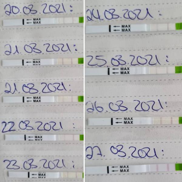 Bild zu Ovulationstest... - Kinderwunsch - was tun, um schwanger zu werden?