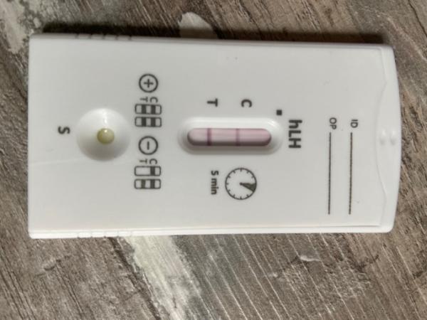 Bild zu ovumationstest sofort posotiv - Kinderwunsch - was tun, um schwanger zu werden?