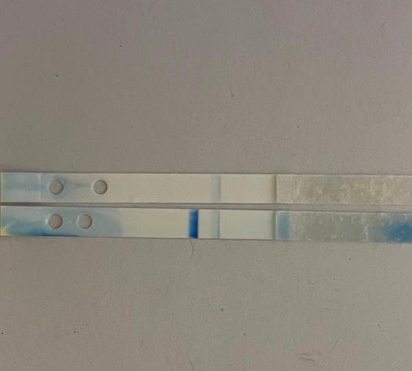 Bild zu Clear Blue digital mit WB an ES+11/12 - Kinderwunsch - was tun, um schwanger zu werden?
