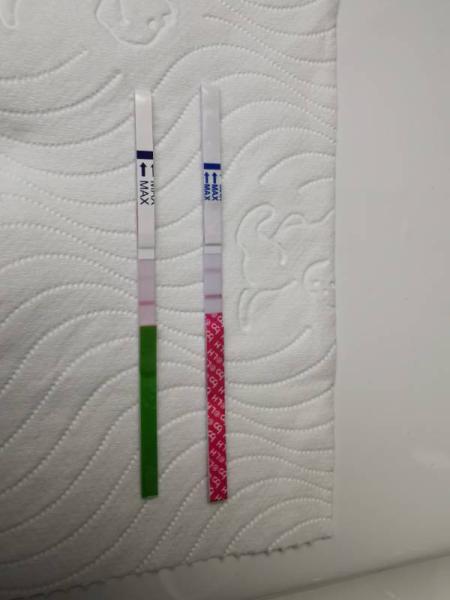 Bild zu Ovulationstest 10miu+25 miu - Kinderwunsch - was tun, um schwanger zu werden?