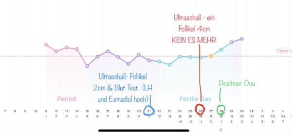 Bild zu Hilfe- FA sagt kein Eisprung, Follikel 4cm, aber Ovu ist positiv Tempi ist hoch - Kinderwunsch - was tun, um schwanger zu werden?