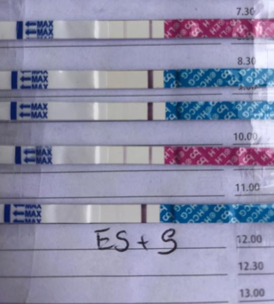 Bild zu Sind Femometer Sst zuverlässig? - Kinderwunsch - was tun, um schwanger zu werden?