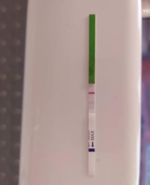 Bild zu Positiver Ovulationstest - Kinderwunsch - was tun, um schwanger zu werden?