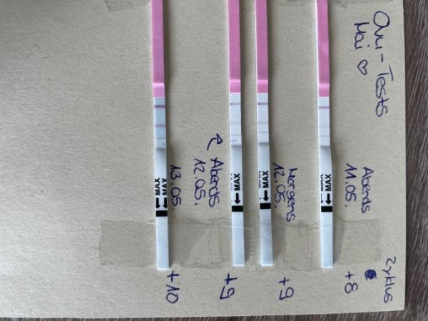 Bild zu Ovu Test heute positiv? - Kinderwunsch - was tun, um schwanger zu werden?