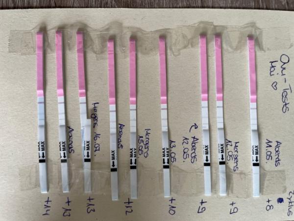 Bild zu Ovu Tests kein ‚Höhepunkt‘ - Kinderwunsch - was tun, um schwanger zu werden?