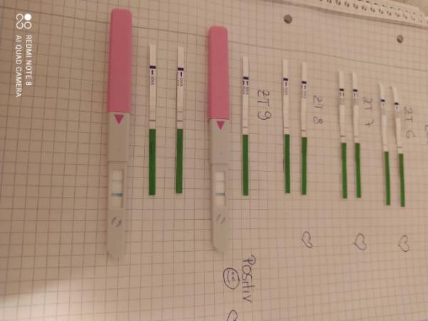 Bild zu Ovulationstest an zt 9 positiv - Kinderwunsch - was tun, um schwanger zu werden?