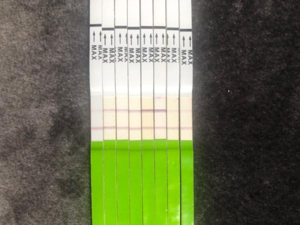 Bild zu Ovulationstestreihe - Kinderwunsch - was tun, um schwanger zu werden?