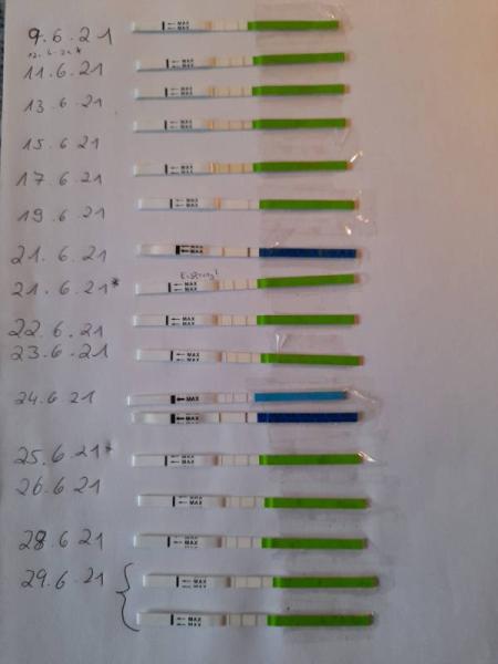 Bild zu Ovulationstest wieder positiv 🤔 - Kinderwunsch - was tun, um schwanger zu werden?