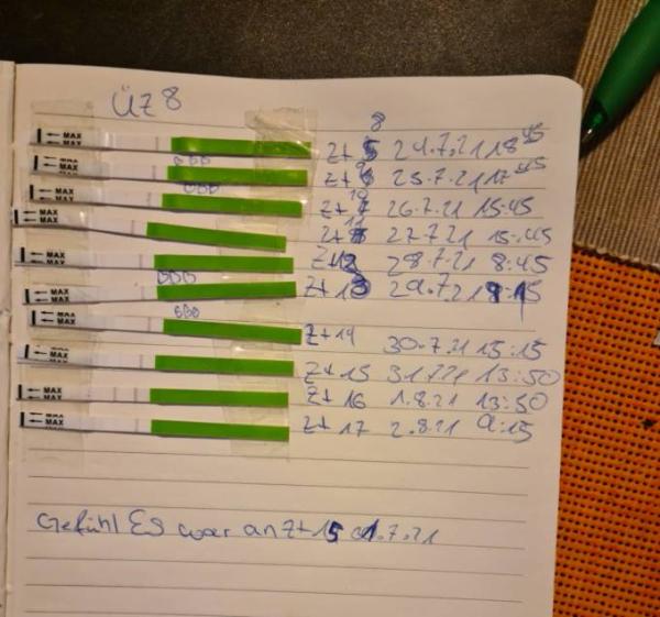 Bild zu Es +2.wieder Einbildung? Oder❤ - Kinderwunsch - was tun, um schwanger zu werden?