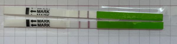 Bild zu Clearblue Advance Anzeige richtig? - Kinderwunsch - was tun, um schwanger zu werden?