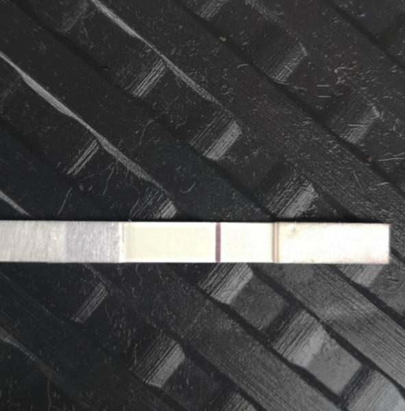 Bild zu Seht ihr auch was oder bilde ich es mir ein? - Kinderwunsch - was tun, um schwanger zu werden?