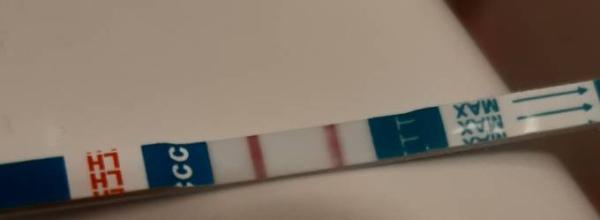 Bild zu Test - Kinderwunsch - was tun, um schwanger zu werden?