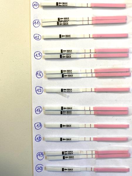 Bild zu Ovu passt nicht zur Temperaturkurve? - Kinderwunsch - was tun, um schwanger zu werden?
