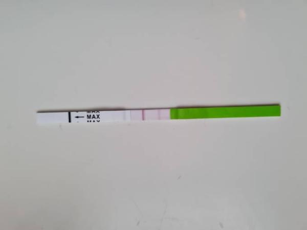 Bild zu Ovulationstest - Kinderwunsch - was tun, um schwanger zu werden?