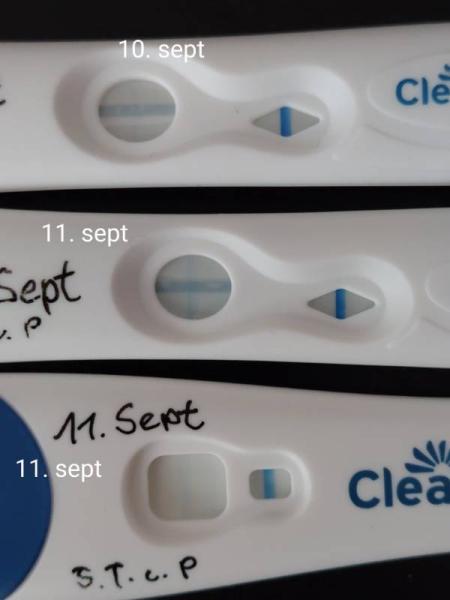 Bild zu Clearblue positiv oder negativ? - Kinderwunsch - was tun, um schwanger zu werden?