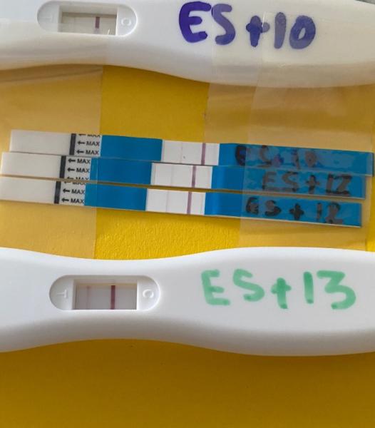 Bild zu ES+13 SStest immer noch schwach - Kinderwunsch - was tun, um schwanger zu werden?