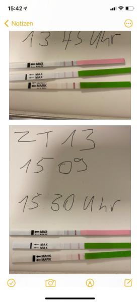 Bild zu Ovu Tests positiv oder nicht ? - Kinderwunsch - was tun, um schwanger zu werden?