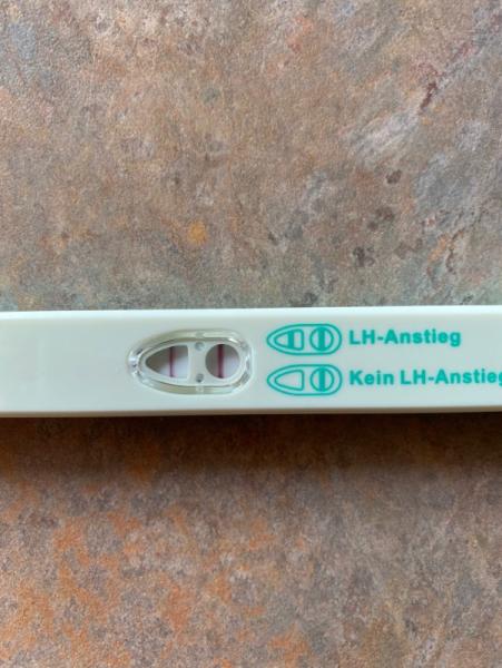 Bild zu Ovulationstest - Kinderwunsch - was tun, um schwanger zu werden?