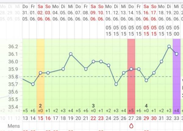 Bild zu 