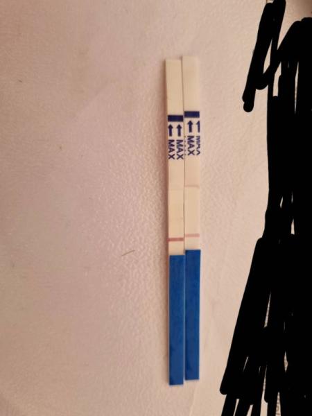 Bild zu Schwanger? - Kinderwunsch - was tun, um schwanger zu werden?