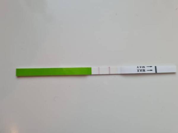 Bild zu Ovulationstest ES+6 - Kinderwunsch - was tun, um schwanger zu werden?