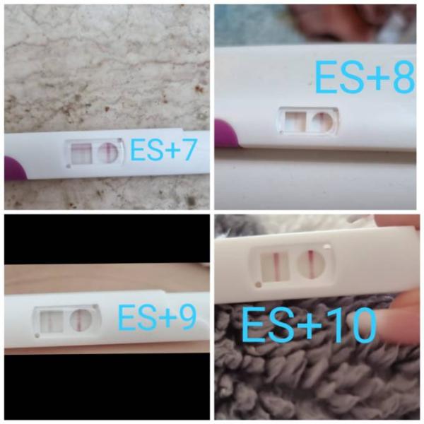 Bild zu Es+10 ovulationstest positiv?? - Kinderwunsch - was tun, um schwanger zu werden?