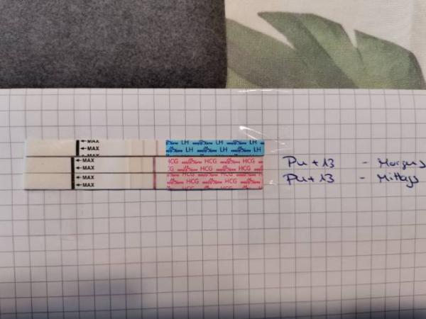 Bild zu Ist der Test positiv oder für ES+13 zu schwach - Kinderwunsch - was tun, um schwanger zu werden?