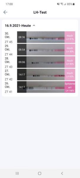 Bild zu Ovu test - Kinderwunsch - was tun, um schwanger zu werden?