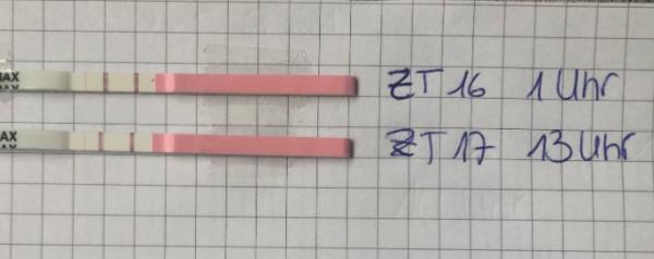 Bild zu Ovu - Kinderwunsch - was tun, um schwanger zu werden?