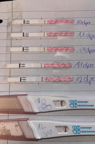 Bild zu Leicht positiver Test - Kinderwunsch - was tun, um schwanger zu werden?