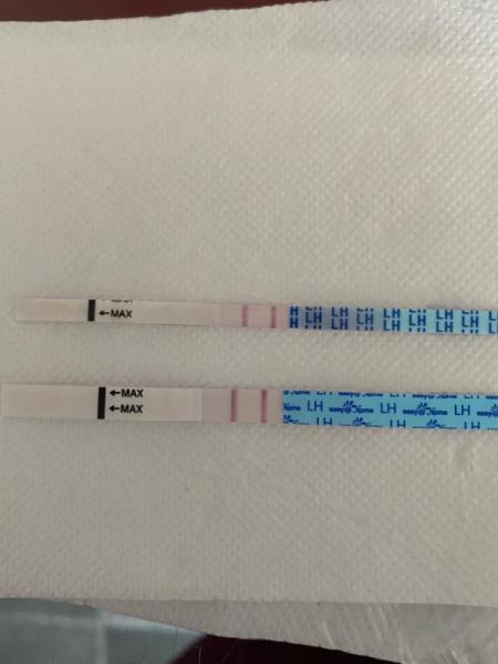 Bild zu Ovu schon positiv ? - Kinderwunsch - was tun, um schwanger zu werden?