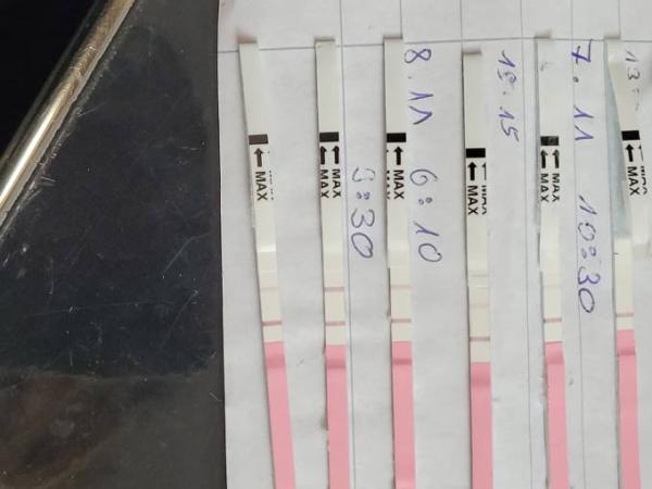 Bild zu Könnte es trotzdem gereicht haben - Kinderwunsch - was tun, um schwanger zu werden?