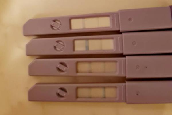 Bild zu Meinungen, wann Eisprung - Kinderwunsch - was tun, um schwanger zu werden?