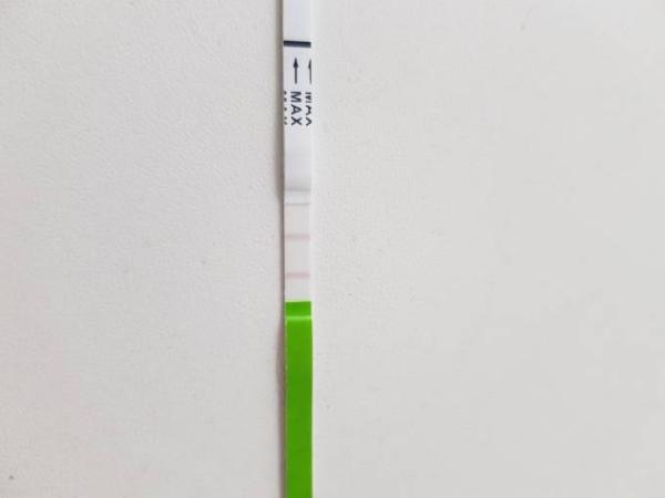 Bild zu Ovulationstest 1 Tag vor periode positiv? - Kinderwunsch - was tun, um schwanger zu werden?